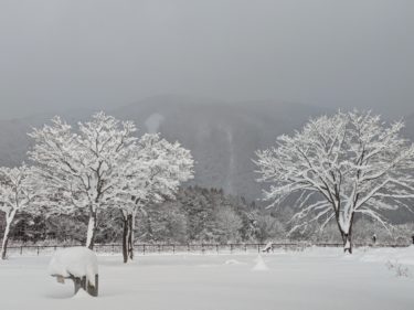 【#3398】18時間労働・・・